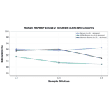 Linearity - Human MAPKAP Kinase 2 ELISA Kit (A336390) - Antibodies.com