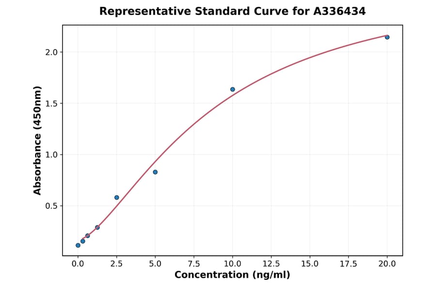 Standard Curve - Mouse TIMP2 ELISA Kit (A336434) - Antibodies.com