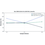 Linearity - Rat CD86 ELISA Kit (A336746) - Antibodies.com