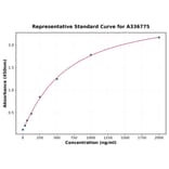 Standard Curve - Rat VEGFA ELISA Kit (A336775) - Antibodies.com