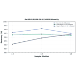 Linearity - Rat CD31 ELISA Kit (A336811) - Antibodies.com
