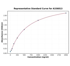 Standard Curve - Rat HMGB1 ELISA Kit (A336813) - Antibodies.com