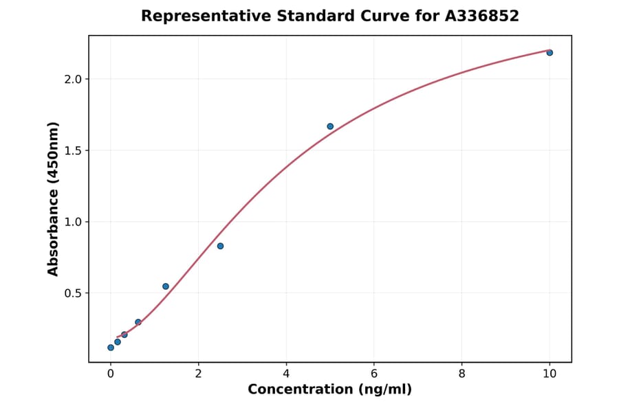 Standard Curve - Rat MAP2 ELISA Kit (A336852) - Antibodies.com