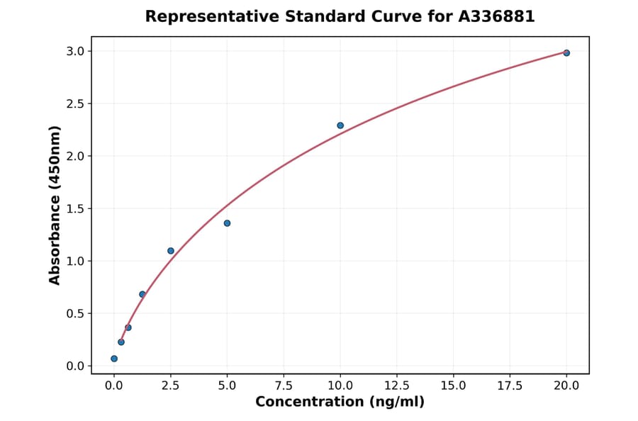 Standard Curve - Rat DDAH2 ELISA Kit (A336881) - Antibodies.com