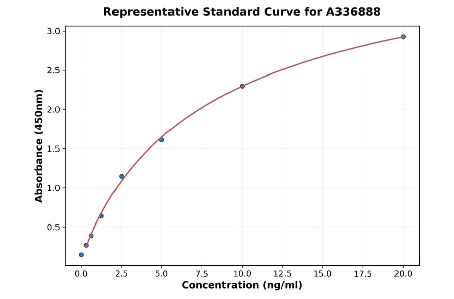 Standard Curve - Rat NOX1 ELISA Kit (A336888) - Antibodies.com