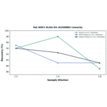 Linearity - Rat NOX1 ELISA Kit (A336888) - Antibodies.com
