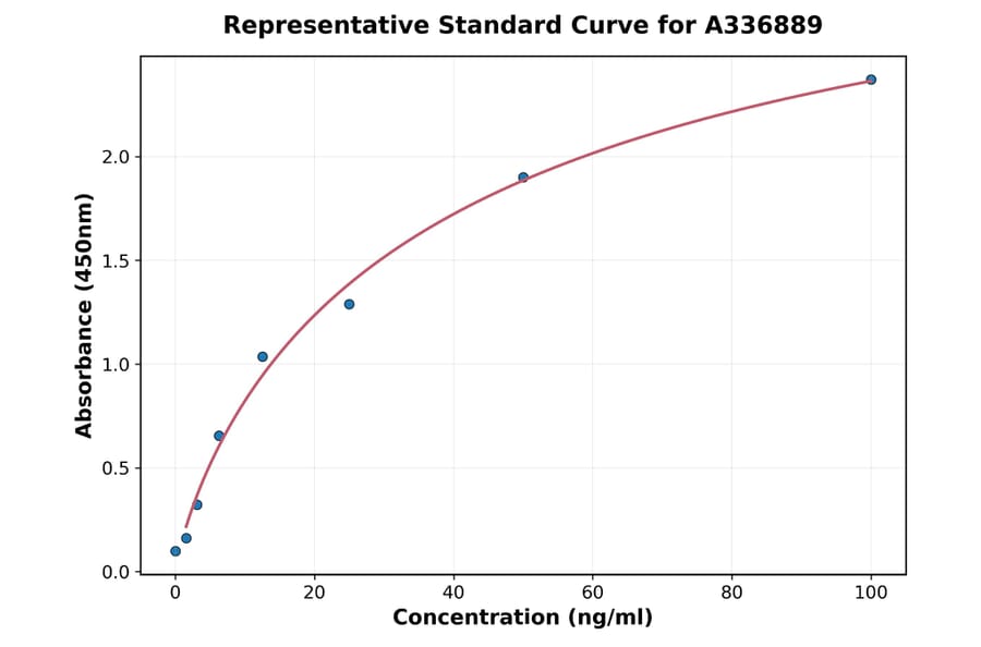 Standard Curve - Rat HEXB ELISA Kit (A336889) - Antibodies.com