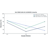 Linearity - Rat CREB ELISA Kit (A336920) - Antibodies.com