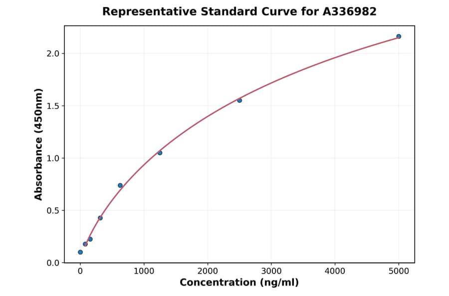 Standard Curve - Rat MMP12 ELISA Kit (A336982) - Antibodies.com