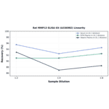 Linearity - Rat MMP12 ELISA Kit (A336982) - Antibodies.com