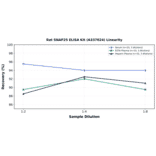 Linearity - Rat SNAP25 ELISA Kit (A337024) - Antibodies.com