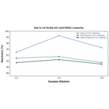 Linearity - Rat IL-19 ELISA Kit (A337055) - Antibodies.com