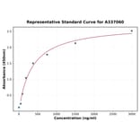 Standard Curve - Rat CXCR2 ELISA Kit (A337060) - Antibodies.com