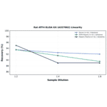 Linearity - Rat ATF4 ELISA Kit (A337062) - Antibodies.com