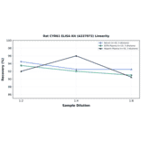 Linearity - Rat CYR61 ELISA Kit (A337073) - Antibodies.com
