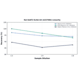 Linearity - Rat EAAT2 ELISA Kit (A337084) - Antibodies.com