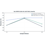 Linearity - Rat SFRP5 ELISA Kit (A337106) - Antibodies.com