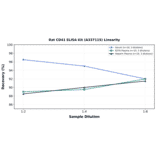 Linearity - Rat CD41 ELISA Kit (A337115) - Antibodies.com