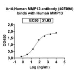 Dose-response - Anti-MMP13 Nanobody [40E09#] (A338271) - Antibodies.com