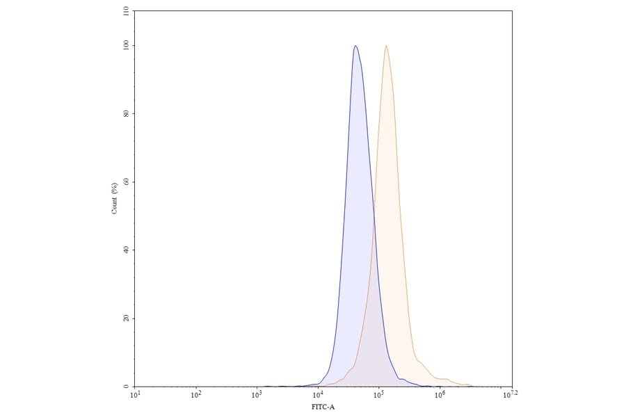 Chromatography profile - Bimekizumab Biosimilar - Anti-IL-17A + IL-17F Antibody - BSA and Azide free (A338430) - Antibodies.com