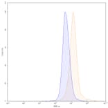 Chromatography profile - Bimekizumab Biosimilar - Anti-IL-17A + IL-17F Antibody - BSA and Azide free (A338430) - Antibodies.com