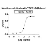 Dose-response - Metelimumab Biosimilar - Anti-TGF beta 1 Antibody - BSA and Azide free (A338453) - Antibodies.com