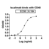 Dose-response - Iscalimab Biosimilar - Anti-CD40 Antibody - BSA and Azide free (A338531) - Antibodies.com