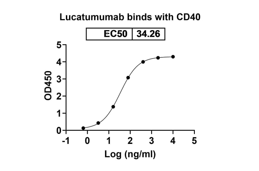 Dose-response - Lucatumumab Biosimilar - Anti-CD40 Antibody - BSA and Azide free (A338535) - Antibodies.com