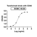 Dose-response - Teneliximab Biosimilar - Anti-CD40 Antibody - BSA and Azide free (A338539) - Antibodies.com