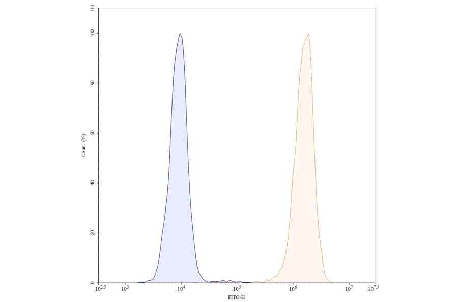 SDS-PAGE - Apamistamab Biosimilar - Anti-CD45 Antibody - BSA and Azide free (A338543) - Antibodies.com