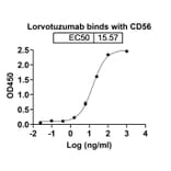 Dose-response - Lorvotuzumab Biosimilar - Anti-NCAM1 Antibody - BSA and Azide free (A338555) - Antibodies.com