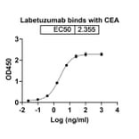 Dose-response - Labetuzumab Biosimilar - Anti-CEA Antibody - BSA and Azide free (A338562) - Antibodies.com