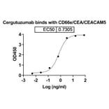 Dose-response - Cergutuzumab Biosimilar - Anti-CEA Antibody - BSA and Azide free (A338563) - Antibodies.com