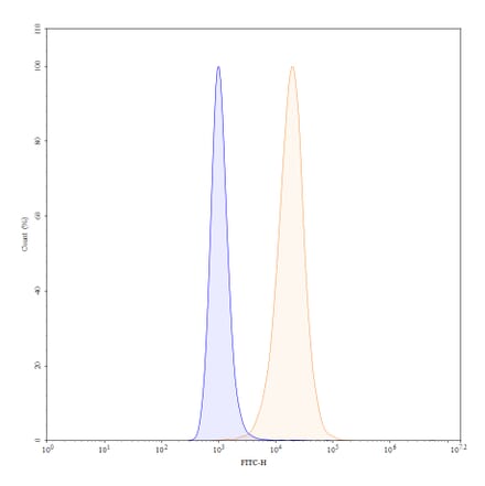 Chromatography profile - Carotuximab Biosimilar - Anti-CD105 Antibody - BSA and Azide free (A338576) - Antibodies.com