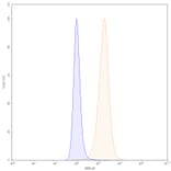 Chromatography profile - Carotuximab Biosimilar - Anti-CD105 Antibody - BSA and Azide free (A338576) - Antibodies.com