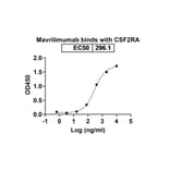 Chromatography profile - Mavrilimumab Biosimilar - Anti-CD116 Antibody - BSA and Azide free (A338580) - Antibodies.com