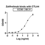 Dose-response - Zalifrelimab Biosimilar - Anti-CTLA-4 Antibody - BSA and Azide free (A338603) - Antibodies.com