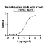 Dose-response - Tremelimumab Biosimilar - Anti-CTLA-4 Antibody - BSA and Azide free (A338604) - Antibodies.com