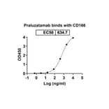 Dose-response - Praluzatamab Biosimilar - Anti-CD166 Antibody - BSA and Azide free (A338614) - Antibodies.com