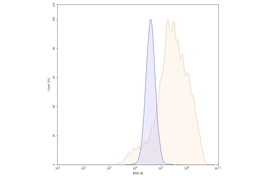 Chromatography profile - Ganitumab Biosimilar - Anti-IGF1R Antibody - BSA and Azide free (A338620) - Antibodies.com
