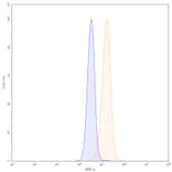Chromatography profile - Ganitumab Biosimilar - Anti-IGF1R Antibody - BSA and Azide free (A338620) - Antibodies.com