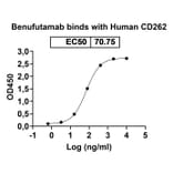 Dose-response - Benufutamab Biosimilar - Anti-DR5 Antibody - BSA and Azide free (A338644) - Antibodies.com