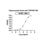 Dose-response - Tigatuzumab Biosimilar - Anti-DR5 Antibody - BSA and Azide free (A338645) - Antibodies.com