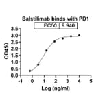 Dose-response - Balstilimab Biosimilar - Anti-PD 1 Antibody - BSA and Azide free (A338668) - Antibodies.com