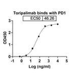 Dose-response - Toripalimab Biosimilar - Anti-PD 1 Antibody - BSA and Azide free (A338672) - Antibodies.com
