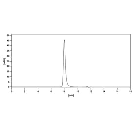 SDS-PAGE - Tesnatilimab Biosimilar - Anti-NKG2D Antibody - BSA and Azide free (A338689) - Antibodies.com