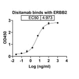 Dose-response - Disitamab Biosimilar - Anti-ErbB2 Antibody - BSA and Azide free (A338699) - Antibodies.com