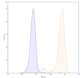 Chromatography profile - Timigutuzumab Biosimilar - Anti-ErbB2 Antibody - BSA and Azide free (A338700) - Antibodies.com