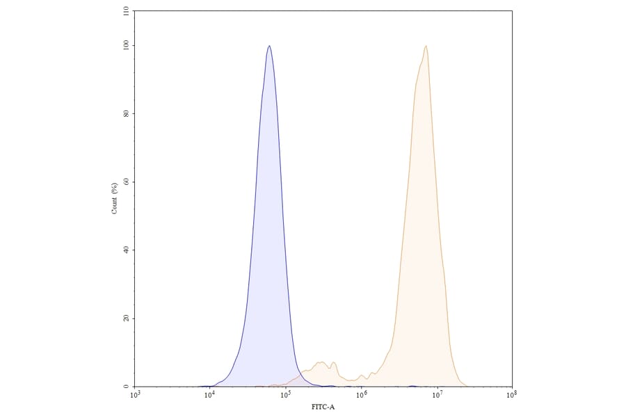 Chromatography profile - Timigutuzumab Biosimilar - Anti-ErbB2 Antibody - BSA and Azide free (A338700) - Antibodies.com