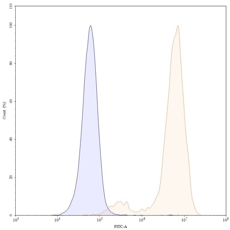Chromatography profile - Timigutuzumab Biosimilar - Anti-ErbB2 Antibody - BSA and Azide free (A338700) - Antibodies.com